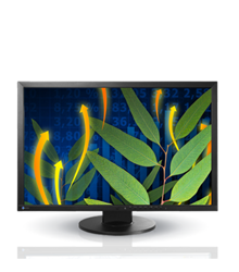 RABLJENI MONITOR EIZO FLEXSCAN EV2436W 24