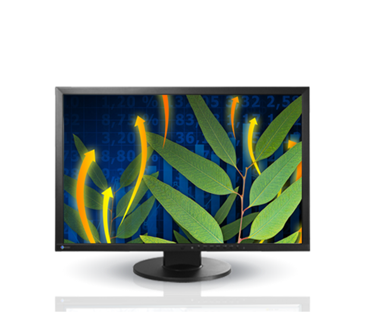 RABLJENI MONITOR EIZO FLEXSCAN EV2436W 24